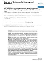 báo cáo hóa học: