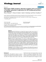 Báo cáo hóa học: 