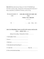 MẪU BÁO CÁO TÌNH HÌNH SỬ DỤNG NGƯỜI NƯỚC NGOÀI 6 THÁNG ĐẦU NĂM potx