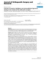 báo cáo hóa học: