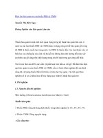 Nghiên cứu khoa học 