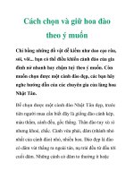 Cách chọn và giữ hoa đào theo ý muốn docx