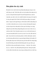 Bón phân cho cây cảnh pot