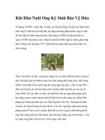 Khi Dân Nuôi Ong Ký Sinh Bảo Vệ Dừa pptx