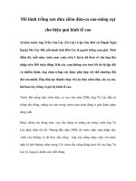 Mô hình trồng xen dừa xiêm dứa-ca cao-măng cụt cho hiệu quả kinh tế cao10 năm pptx