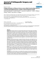 báo cáo hóa học: