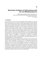Biomimetic Based Applications Part 2 doc