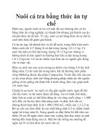 Nuôi cá tra bằng thức ăn tự chế docx