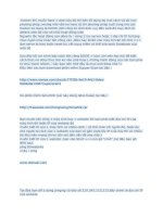 hướng dẫn DDOS pdf