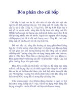 Bón phân cho cải bắp pptx