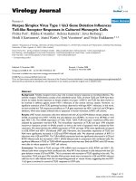 Báo cáo hóa học: 