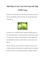 Biện Pháp Cải Tạo Vườn Xoài Năng Suất Thấp Ở Miền Trung pdf