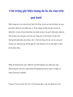 Côn trùng gây hiện tượng da lu, da cám trên quả bưởi docx