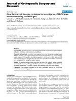 báo cáo hóa học: