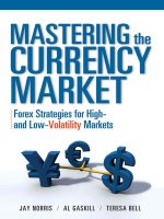 Mastering the Currency Market Forex Strategies for High and Low_1 docx