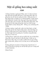 Một số giống heo năng suất cao pptx