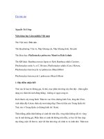 Nghiên cứu khoa học 