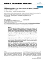 báo cáo hóa học: