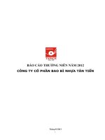 báo cáo thường niên năm 2012 công ty cổ phần bao bì nhựa tân tiến