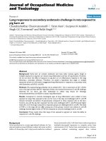 báo cáo hóa học: 