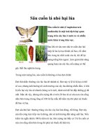 Sâu cuốn lá nhỏ hại lúa doc