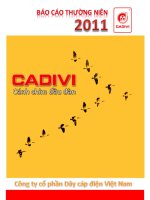 báo cáo thường niên 2011 cadivi cánh chim đầu đàn công ty cổ phần dây cáp điện việt nam