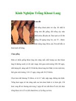 Kinh Nghiệm Trồng Khoai Lang pdf