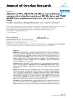 báo cáo hóa học: