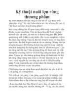 Kỹ thuật nuôi lợn rừng thương phẩm pptx