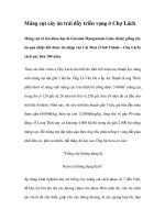 Măng cụt cây ăn trái đầy triển vọng ở Chợ Lách pdf