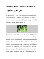 Kỹ Thuật Trồng Bí Xanh (Bí Đao) doc