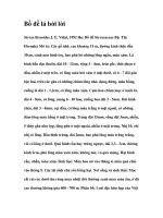 Bồ đề lá bời lời potx