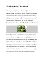 Kỹ Thuật Trồng Dứa (Khóm) doc