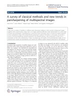 Báo cáo hóa học: 