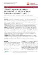 báo cáo hóa học: