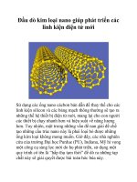 Đầu dò kim loại nano giúp phát triển các linh kiện điện tử mới pot