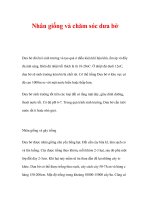 Nhân giống và chăm sóc dưa bở pptx