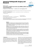 báo cáo hóa học: