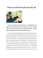 Trồng rau màu hoang dại mùa nước nổi doc