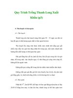 Quy Trình Trồng Thanh Long Xuất Khẩu (p3) pot