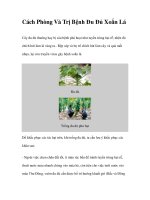 Cách Phòng Và Trị Bệnh Đu Đủ Xoắn Lá pot