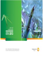 báo cáo thường niên 2013 công ty cổ phần tập đoàn đầu tư thăng long thang long invest group