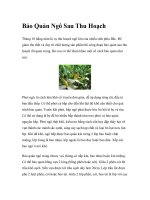 Bảo Quản Ngô Sau Thu Hoạch docx