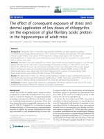 báo cáo hóa học: 