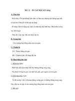 Tiết 31 ÔN TẬP HỌC KÌ I (tiếp) doc