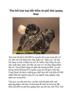 Thu hồi kim loại đất hiếm từ phế thải quặng titan doc