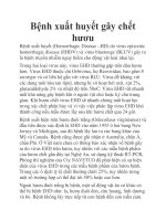 Bệnh xuất huyết gây chết hươu potx