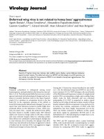 Báo cáo hóa học: 