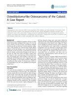 Kumar et al. Journal of Orthopaedic Surgery and Research 2010, 5:52 pptx