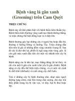 Bệnh vàng lá gân xanh (Greening) trên Cam Quýt pdf